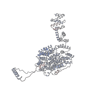 14211_7qyb_U_v1-0
Proteasome-ZFAND5 Complex Z-C state