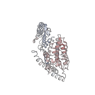 14211_7qyb_V_v1-0
Proteasome-ZFAND5 Complex Z-C state