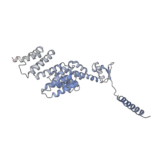 14211_7qyb_X_v1-0
Proteasome-ZFAND5 Complex Z-C state