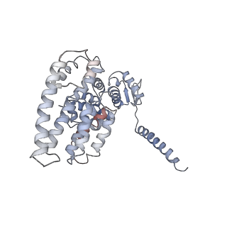 14211_7qyb_Y_v1-0
Proteasome-ZFAND5 Complex Z-C state