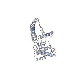 14211_7qyb_Z_v1-0
Proteasome-ZFAND5 Complex Z-C state
