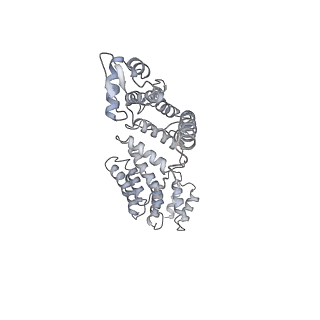 14211_7qyb_a_v1-0
Proteasome-ZFAND5 Complex Z-C state