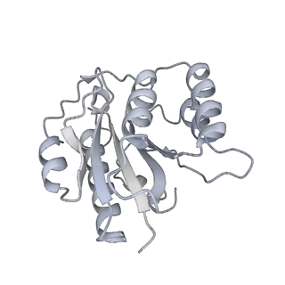 14211_7qyb_b_v1-0
Proteasome-ZFAND5 Complex Z-C state