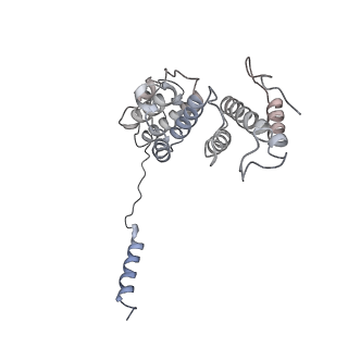 14211_7qyb_d_v1-0
Proteasome-ZFAND5 Complex Z-C state