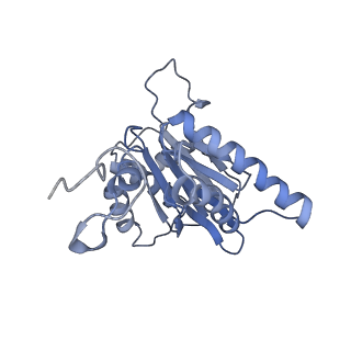 14211_7qyb_g_v1-0
Proteasome-ZFAND5 Complex Z-C state