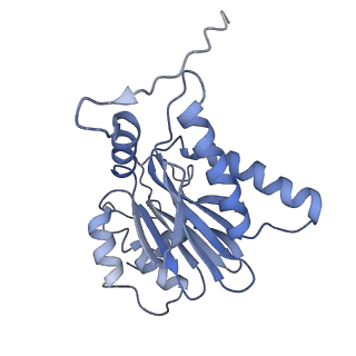 14211_7qyb_h_v1-0
Proteasome-ZFAND5 Complex Z-C state