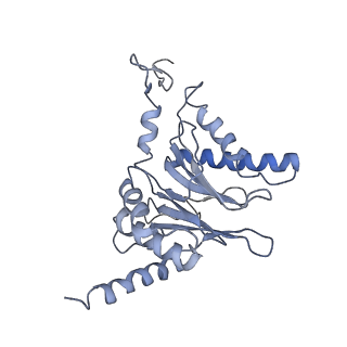 14211_7qyb_i_v1-0
Proteasome-ZFAND5 Complex Z-C state