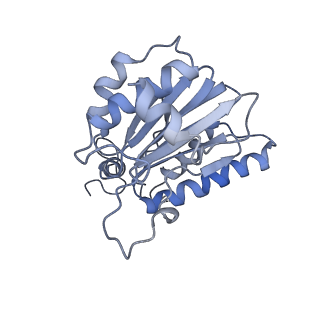 14211_7qyb_k_v1-0
Proteasome-ZFAND5 Complex Z-C state