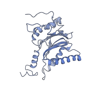 14211_7qyb_l_v1-0
Proteasome-ZFAND5 Complex Z-C state