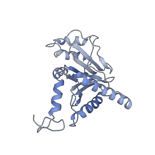 14211_7qyb_m_v1-0
Proteasome-ZFAND5 Complex Z-C state