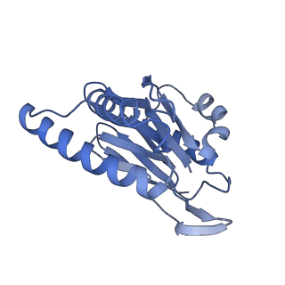 14211_7qyb_n_v1-0
Proteasome-ZFAND5 Complex Z-C state