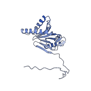 14211_7qyb_o_v1-0
Proteasome-ZFAND5 Complex Z-C state