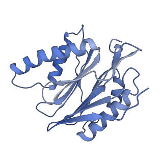 14211_7qyb_p_v1-0
Proteasome-ZFAND5 Complex Z-C state