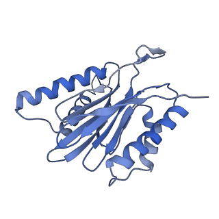 14211_7qyb_q_v1-0
Proteasome-ZFAND5 Complex Z-C state