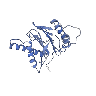 14211_7qyb_s_v1-0
Proteasome-ZFAND5 Complex Z-C state