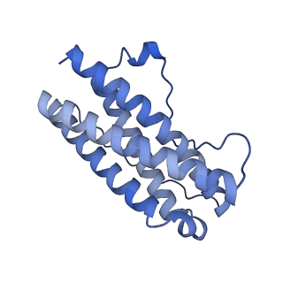 18741_8qy4_A_v1-0
Structure of interleukin 11 (gp130 P496L mutant).