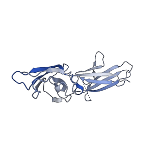 18741_8qy4_B_v1-0
Structure of interleukin 11 (gp130 P496L mutant).
