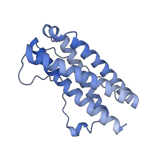 18741_8qy4_D_v1-0
Structure of interleukin 11 (gp130 P496L mutant).