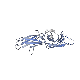 18741_8qy4_E_v1-0
Structure of interleukin 11 (gp130 P496L mutant).