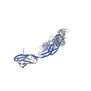 18743_8qy6_A_v1-0
Structure of interleukin 6 (gp130 P496L mutant).