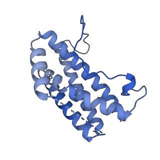 18743_8qy6_B_v1-0
Structure of interleukin 6 (gp130 P496L mutant).