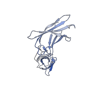 18743_8qy6_C_v1-0
Structure of interleukin 6 (gp130 P496L mutant).