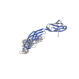 18743_8qy6_D_v1-0
Structure of interleukin 6 (gp130 P496L mutant).