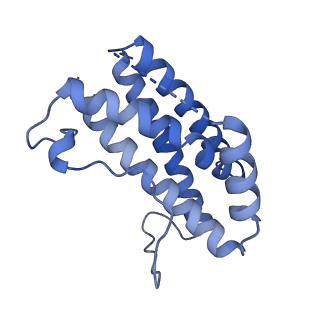 18743_8qy6_E_v1-0
Structure of interleukin 6 (gp130 P496L mutant).