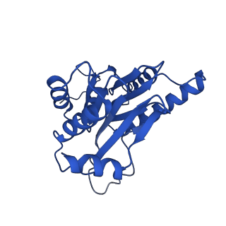 18755_8qyj_A_v1-1
Human 20S proteasome assembly structure 1