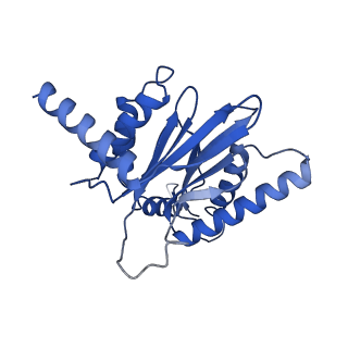 18755_8qyj_B_v1-1
Human 20S proteasome assembly structure 1