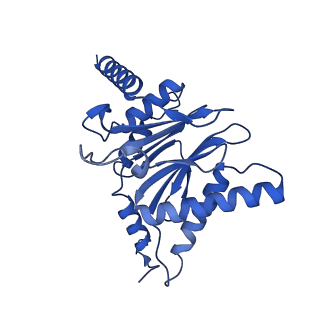 18755_8qyj_C_v1-1
Human 20S proteasome assembly structure 1