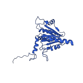 18755_8qyj_D_v1-1
Human 20S proteasome assembly structure 1