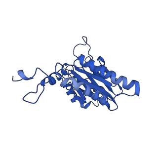 18755_8qyj_E_v1-1
Human 20S proteasome assembly structure 1