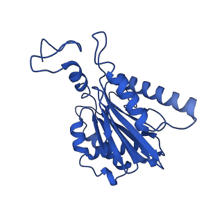 18755_8qyj_F_v1-1
Human 20S proteasome assembly structure 1