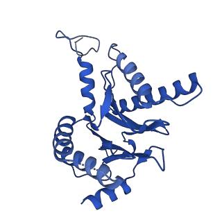 18755_8qyj_G_v1-1
Human 20S proteasome assembly structure 1