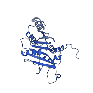 18755_8qyj_I_v1-1
Human 20S proteasome assembly structure 1