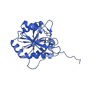 18755_8qyj_J_v1-1
Human 20S proteasome assembly structure 1