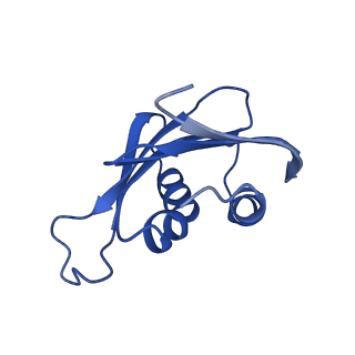 18755_8qyj_L_v1-1
Human 20S proteasome assembly structure 1