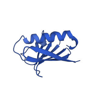 18755_8qyj_M_v1-1
Human 20S proteasome assembly structure 1