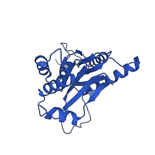 18757_8qyl_A_v1-1
Human 20S proteasome assembly intermediate structure 2