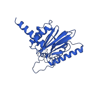 18757_8qyl_B_v1-1
Human 20S proteasome assembly intermediate structure 2