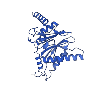 18757_8qyl_C_v1-1
Human 20S proteasome assembly intermediate structure 2