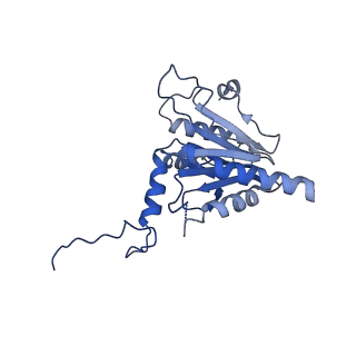 18757_8qyl_D_v1-1
Human 20S proteasome assembly intermediate structure 2