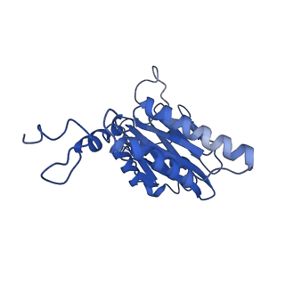 18757_8qyl_E_v1-1
Human 20S proteasome assembly intermediate structure 2