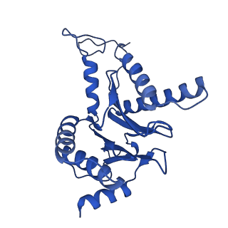 18757_8qyl_G_v1-1
Human 20S proteasome assembly intermediate structure 2