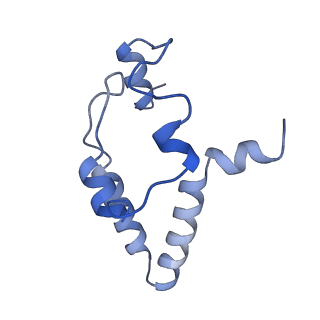 18757_8qyl_H_v1-1
Human 20S proteasome assembly intermediate structure 2