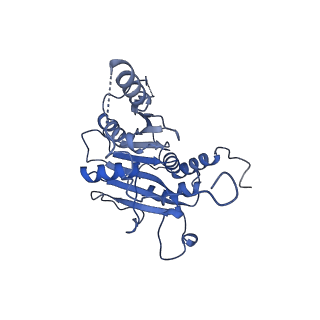 18757_8qyl_I_v1-1
Human 20S proteasome assembly intermediate structure 2