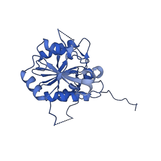 18757_8qyl_J_v1-1
Human 20S proteasome assembly intermediate structure 2