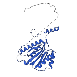 18757_8qyl_K_v1-1
Human 20S proteasome assembly intermediate structure 2