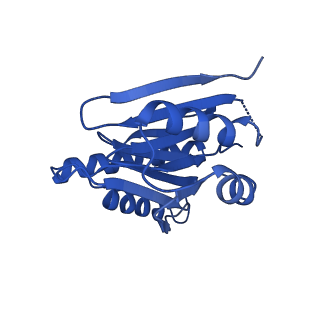 18757_8qyl_L_v1-1
Human 20S proteasome assembly intermediate structure 2